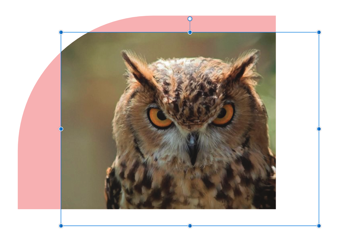 Capture d’écran 2022-02-17 à 16.31.02