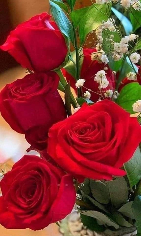 298267773_1104494257145125_7528240305041923756_n