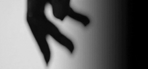 a52044edf9300352813ca71d45943a64.gif