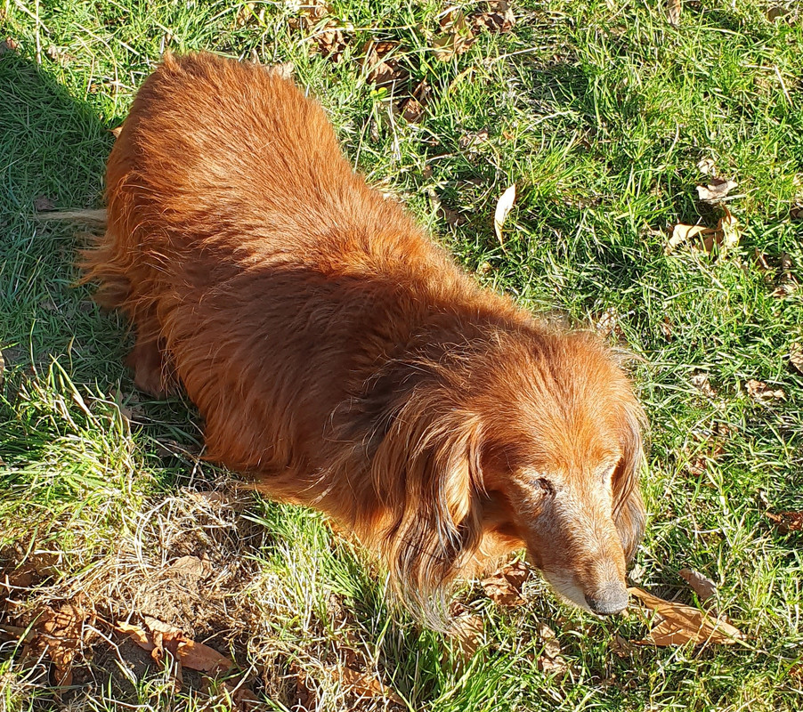 [Image: 20200902-181858.jpg]