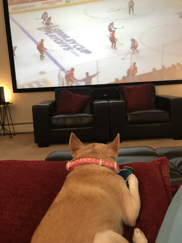 4335AD47-1DFE-4EF4-B8BF-DC29FEF235EE