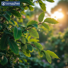 control-plagas-malaga-1767637335847