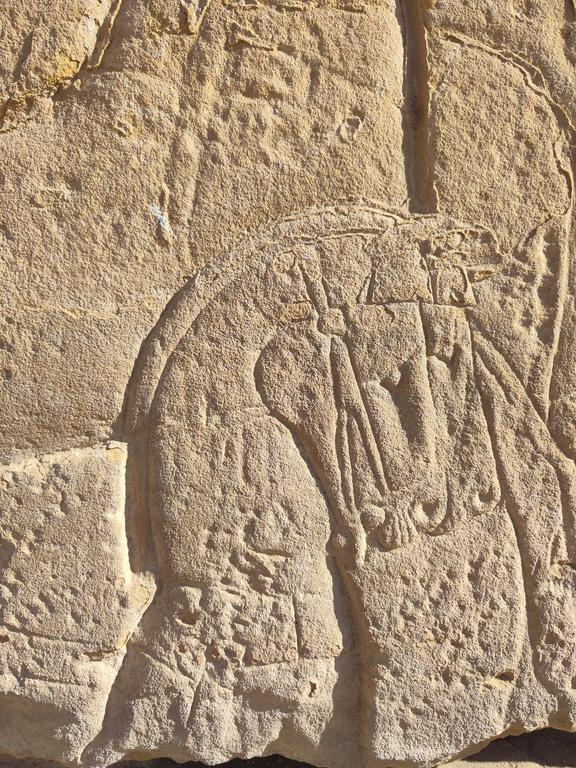 Ленивый Египет (Хургада, Луксор, Каир), декабрь 2025 - январь 2026