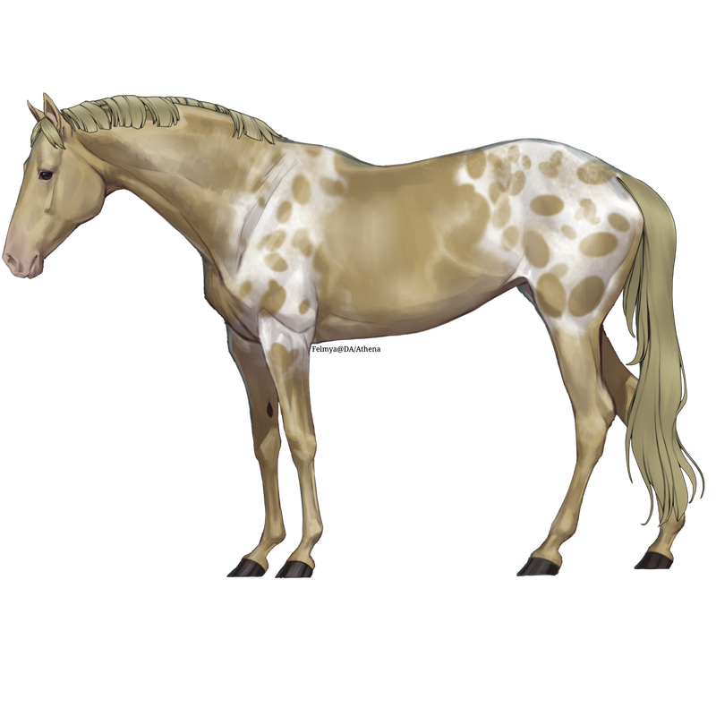 0-355400-Mississippi-Mudpie (1)