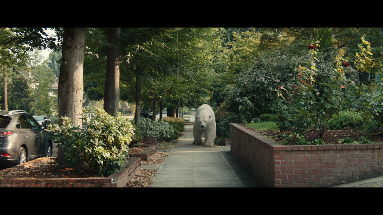 Timmy Failure - Mistakes Were Made [1080p]