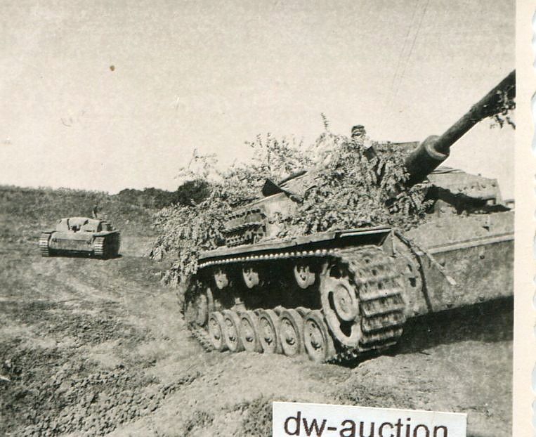 Sturmgeschütz Langrohr mit Tarnung