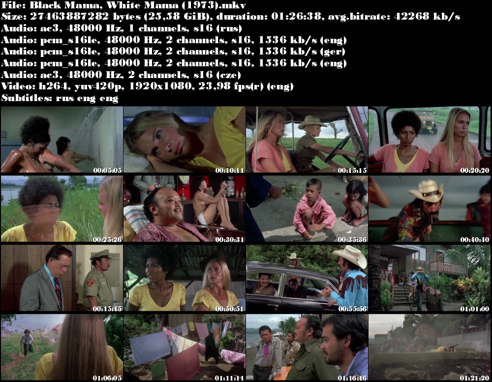 Černá, bílá / Black Mama, White Mama  (1973)