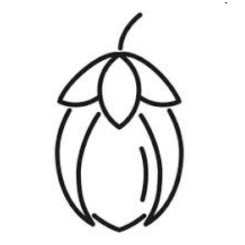 JOJOBA SEED OIL
