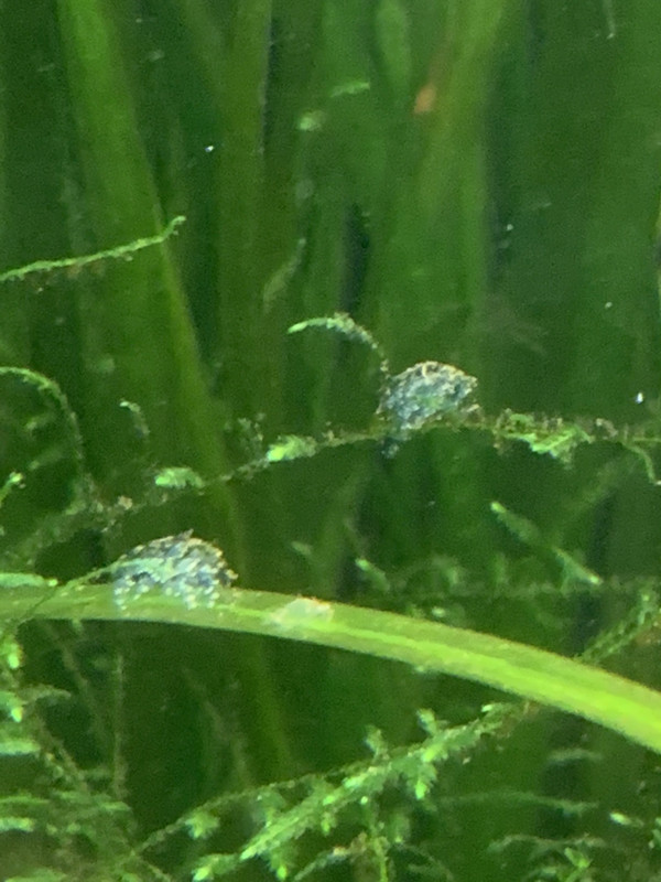 929CDF1B-3CBC-41F2-88B9-89116E983C4E