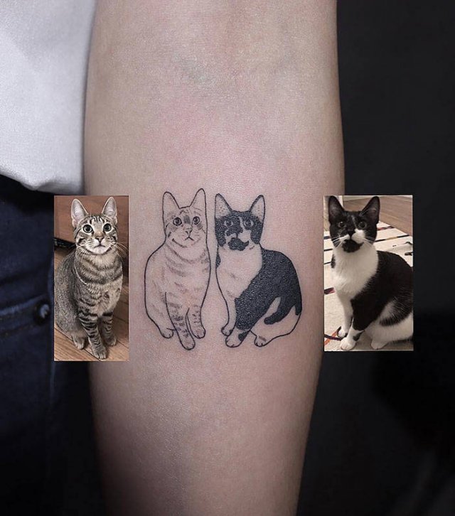 Cats-21