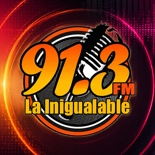  LA INIGUALABLE 91.3 (Amatepec) - 91.3 FM - XHPAMM-FM - Amatepec, Estado de Mexico