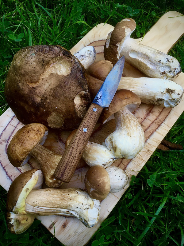 7791AAE3-255D-44CB-B2CB-15B36C4D044F