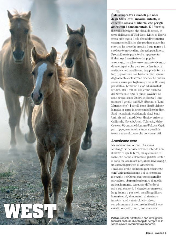 Il Mio Cav (Lug 2023) 6