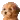bark