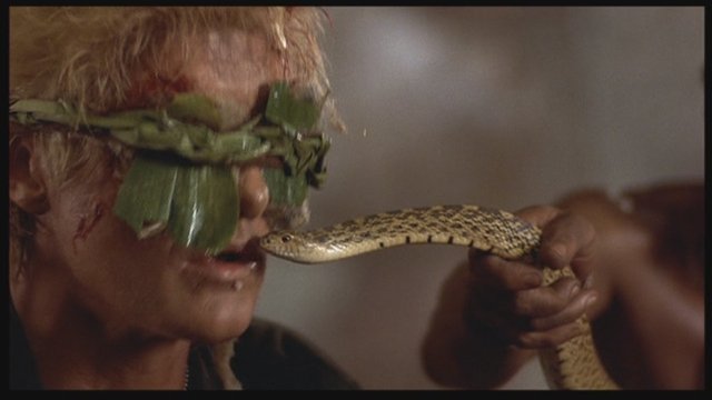 4 - Furia Ciega [DVD5Full] [PAL] [Cast/Ing/Fr/Ale/It/Hu] [Sub:Varios] [1990] [Acción]