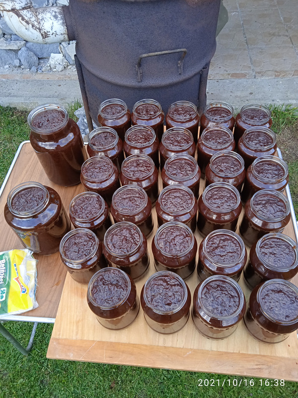 IMG_20211016_163804_1[1]