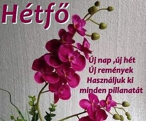 https://i.postimg.cc/qMvmTDYz/hetfo.jpg