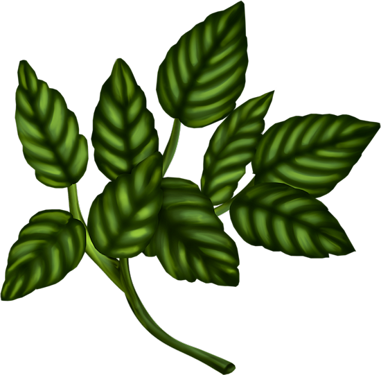 Aylar(E) (23)