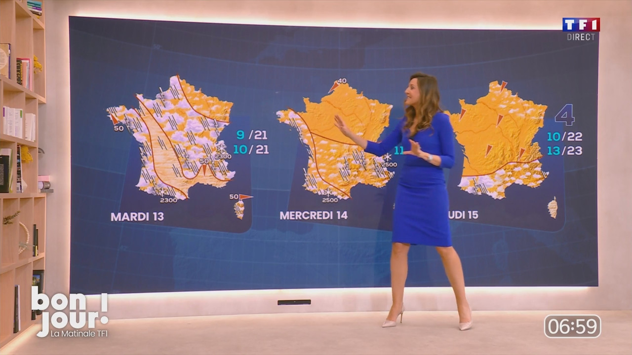Bonjour Daniela 120525.mp4_snapshot_00.09.45.838