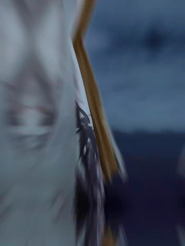 3.gif