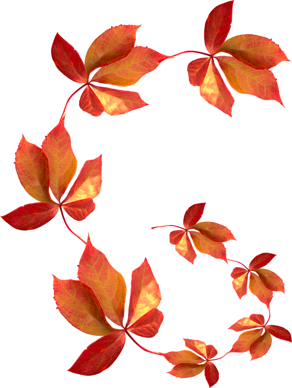 Kastagnette_PrettyGarden (114)