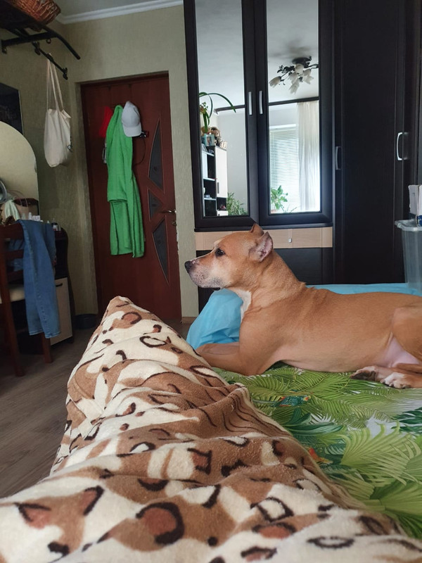 D119D5AB-09C1-490F-B896-5A9DF7168E15