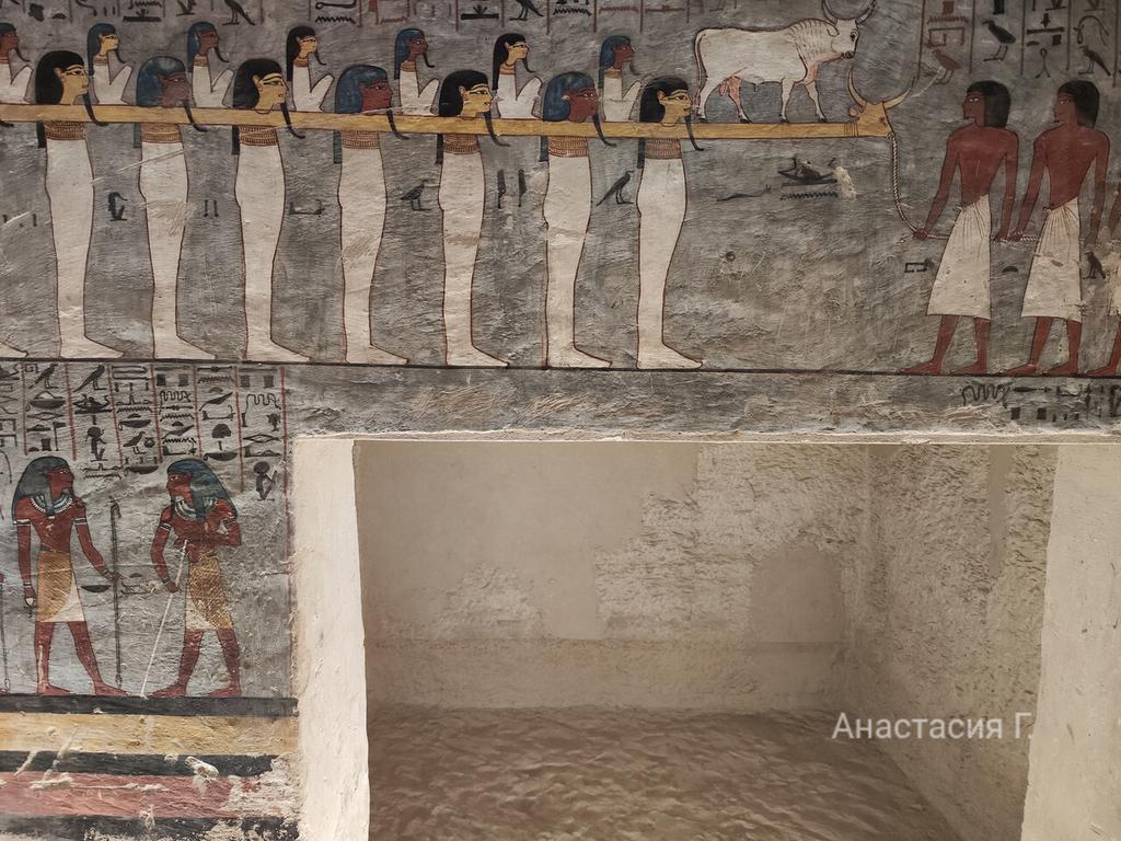 Ленивый Египет (Хургада, Луксор, Каир), декабрь 2025 - январь 2026