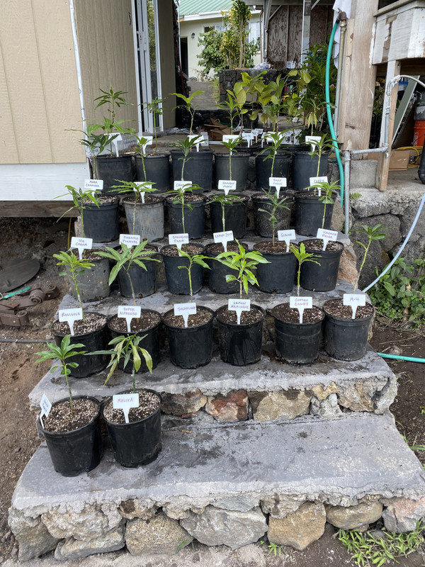 DC862590-59A9-4A90-8D3C-D9001D1D1541