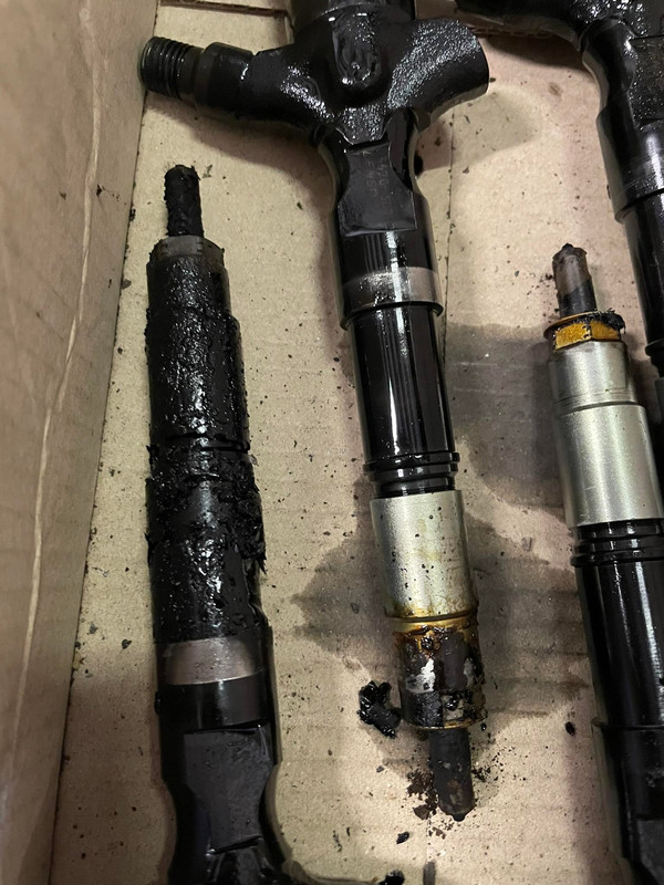 279457238_1158500541653657_1889331531356620564_n