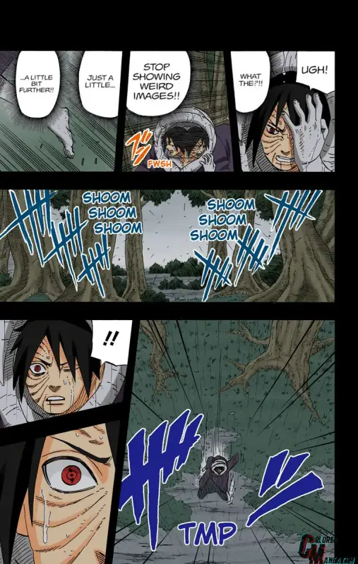 12372514_760_1200_141660