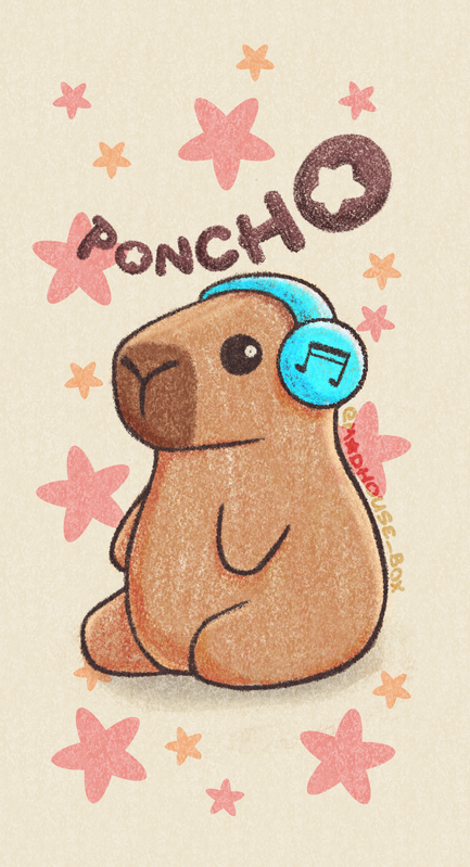 Poncho