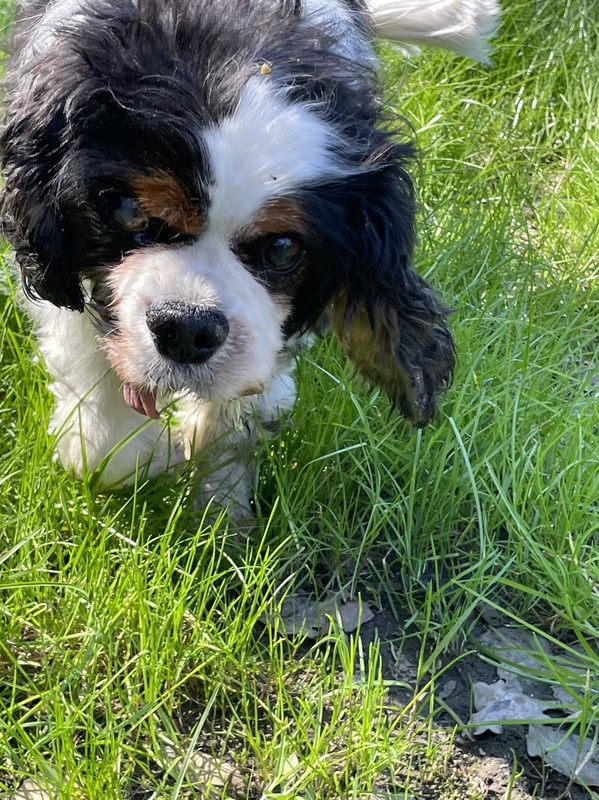 D139A886-C9F7-4C39-867C-82E866CCDF67