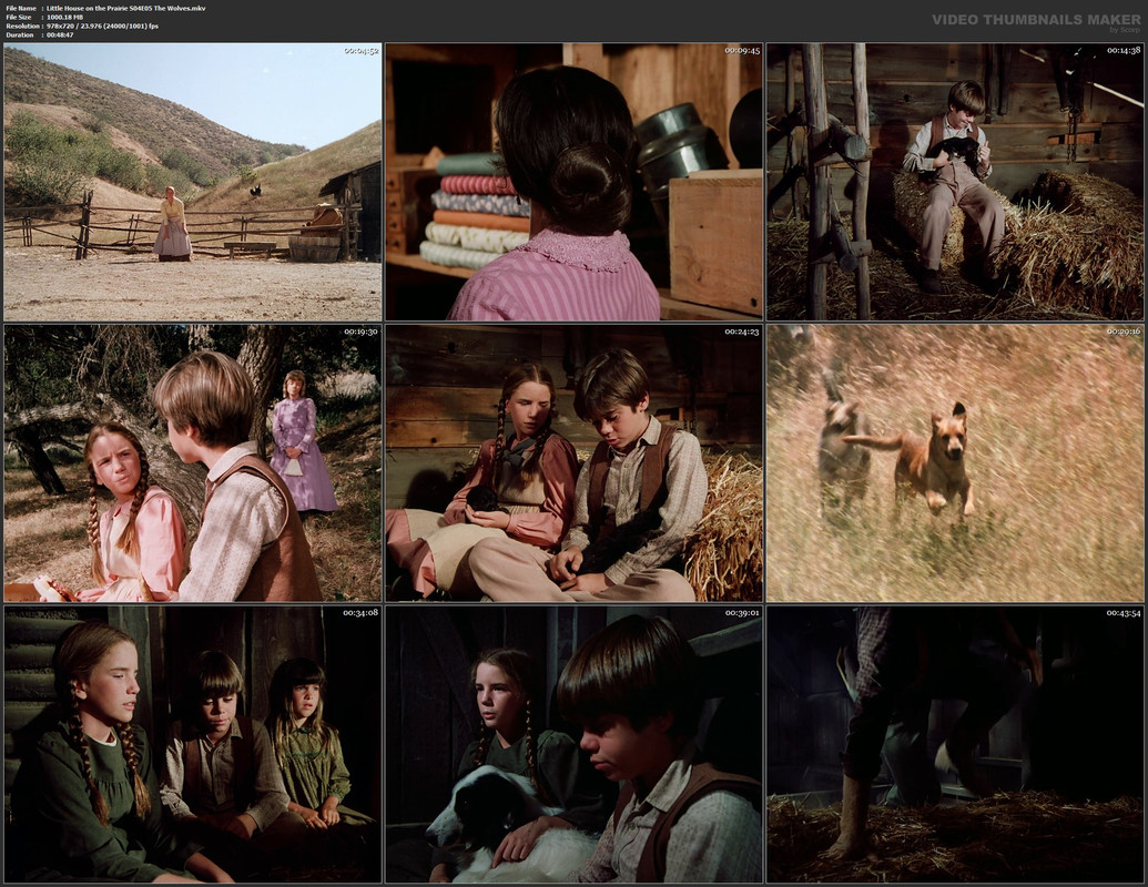 Little House on the Prairie S04E05 The Wolves.mkv