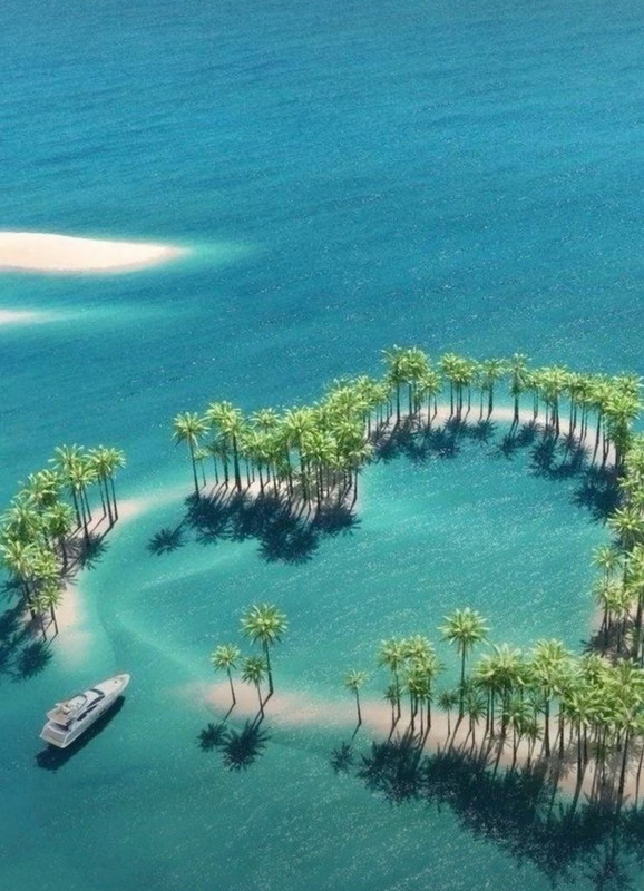 Screenshot_20230527_234409_Pinterest