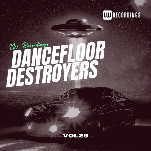 Dancefloor Destroyers Vol. 29 (2025)