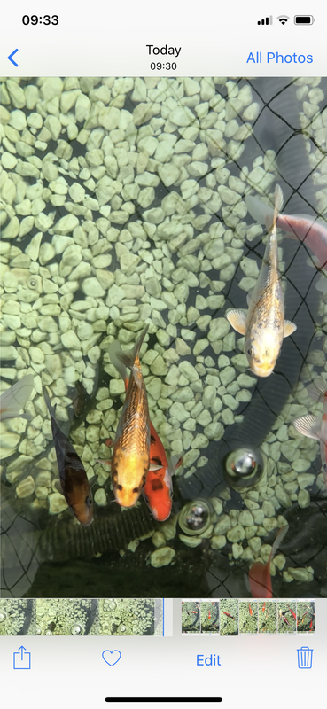 CEBD36F2-49C4-4198-A5BF-094A813E6021