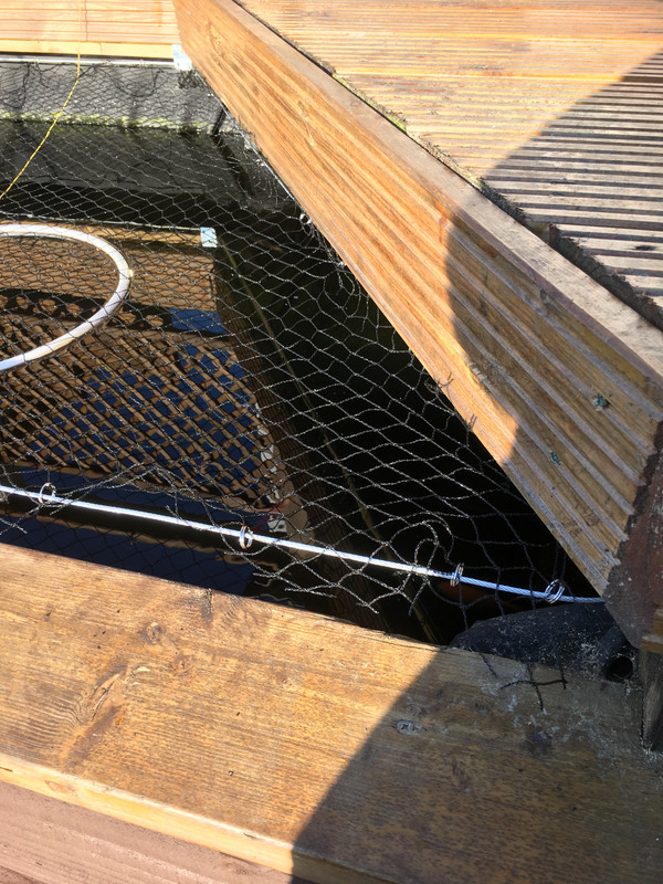 E6EB45D6-B638-4C6F-9A81-3F31072C2CC6