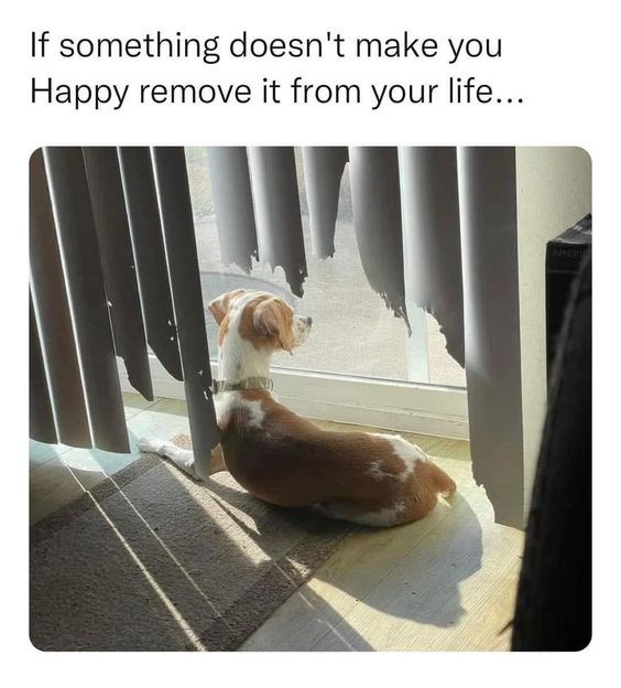 Doglifehappyf02de6fc56289a3f01687cd47.jpg