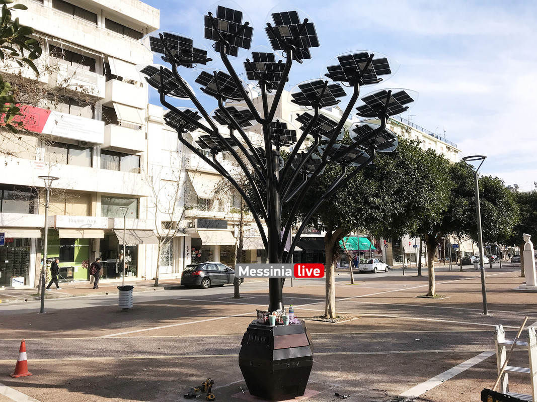 δεντροIMG_2815