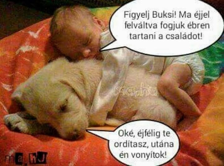 https://i.postimg.cc/qMyjwk38/figyelj-buksi.jpg