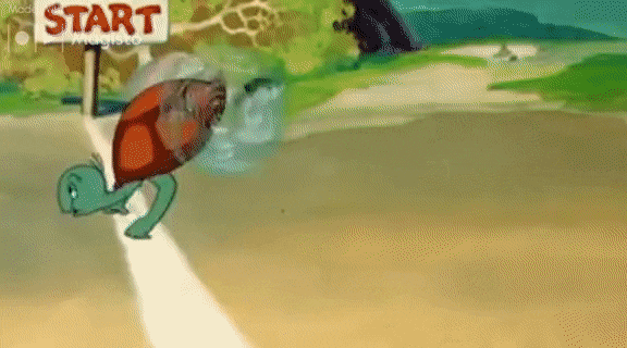 IMG-9502.gif