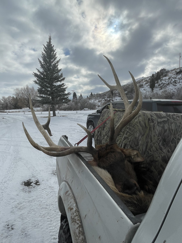 395DB3D2-4EE0-46B0-8A7C-5260B2CE5DC0