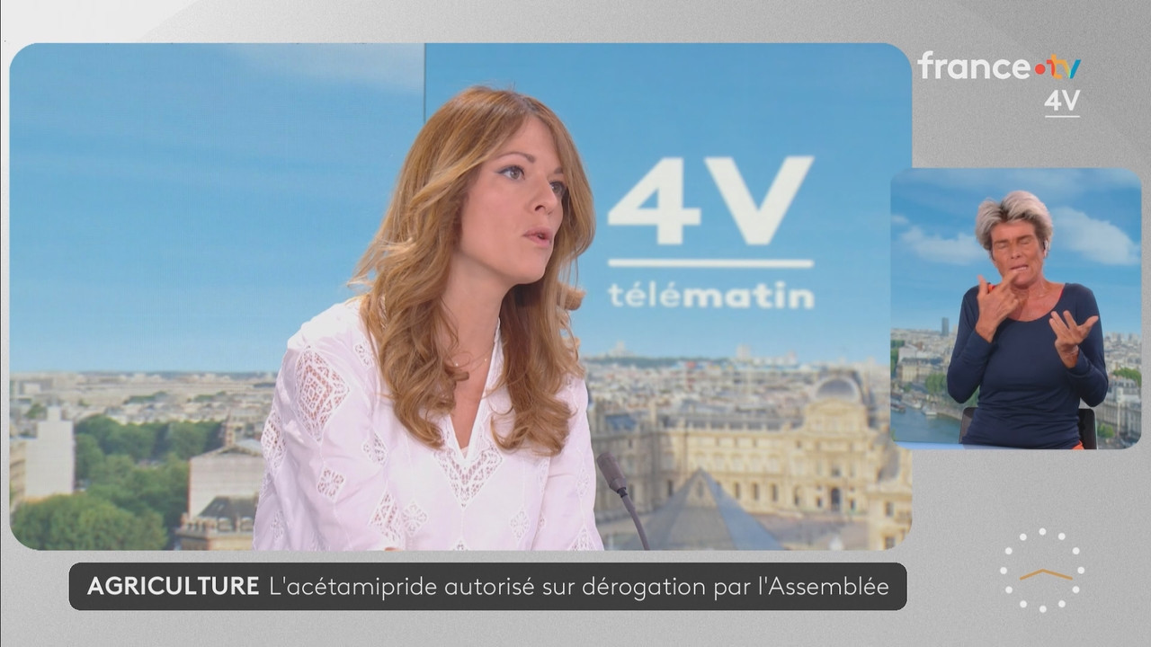 Journal 08h00 (France 2) 2026 07 21 06 55 81 ts snapshot 23 08 493