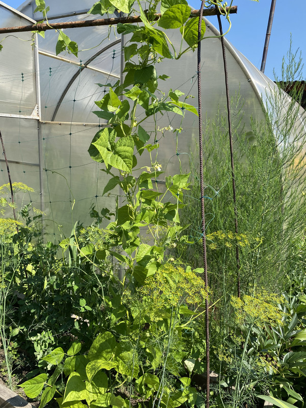 9FA3F697-192E-4EBE-9D6E-A4A1AF101821