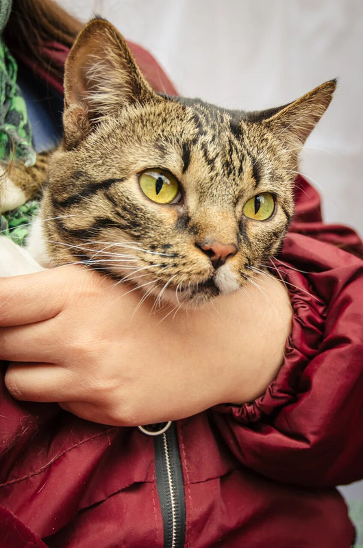 9C7890D8-F9AD-438E-994A-9813FEC1258D