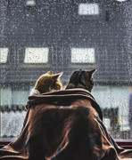 https://i.postimg.cc/qN0nzYxz/403866523-24264473266531939-3139400139779999334-n.jpg
