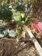 [Image: IMG-20251101-120443019-BURST000-COVER.jpg]