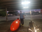 220256192_800547620619777_8512607097801077036_n