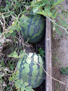 20190903-181600