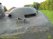 IMG-9381